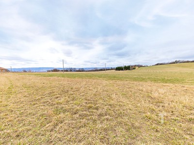 Grundstück zum Kauf, 17.205 m² (3 von 14)