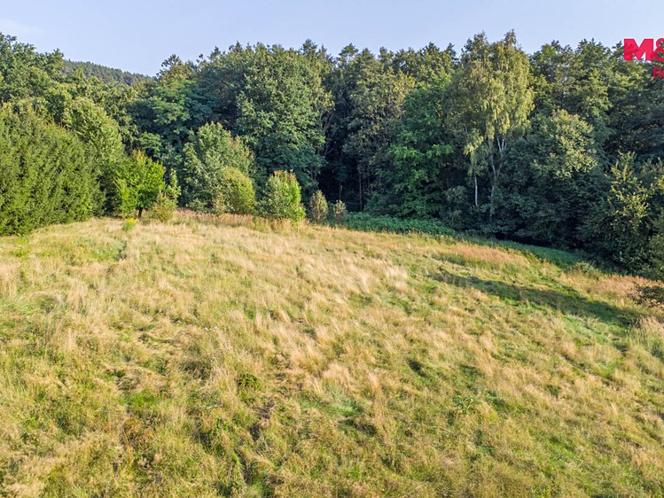 Prodej pozemku, 5 500 m² (4 z 6)