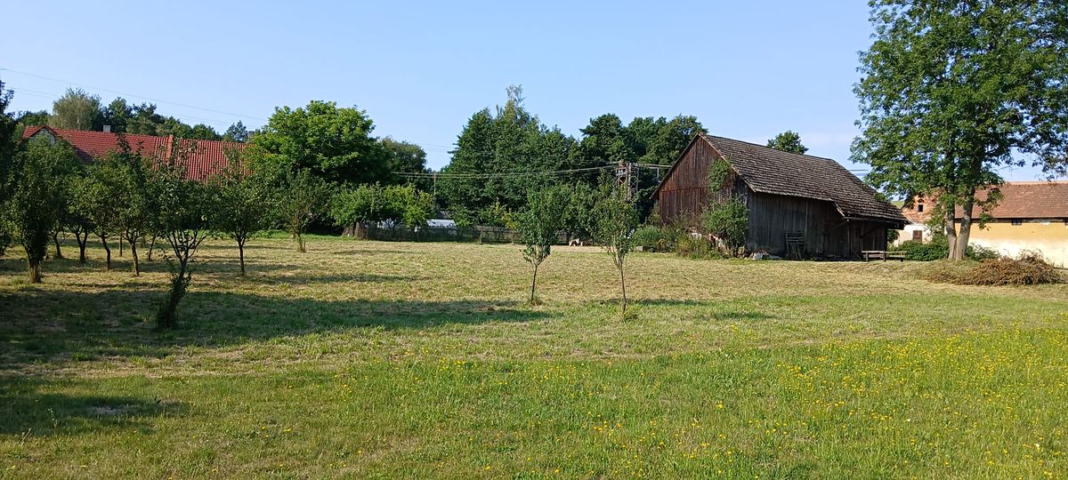 Prodej stavebního pozemku 3703 m² – fotografie 3