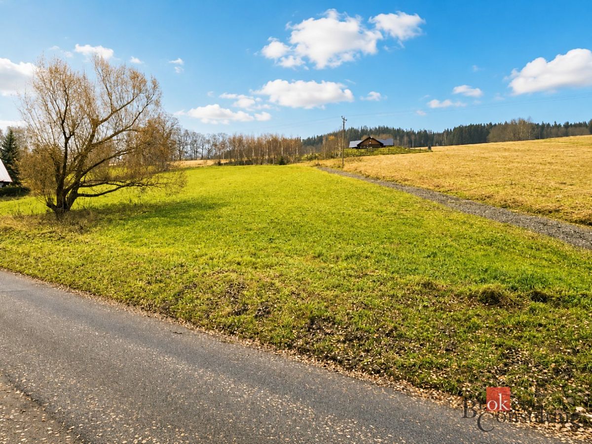 Prodej stavebního pozemku 4354 m² – fotografie 3