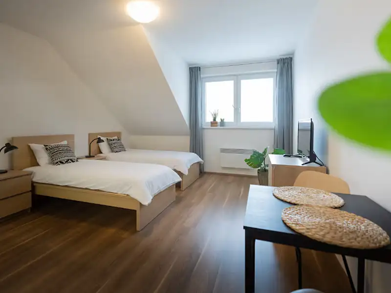 Pronájem bytu 1+kk 25 m², Olomouc – náhled fotky 1
