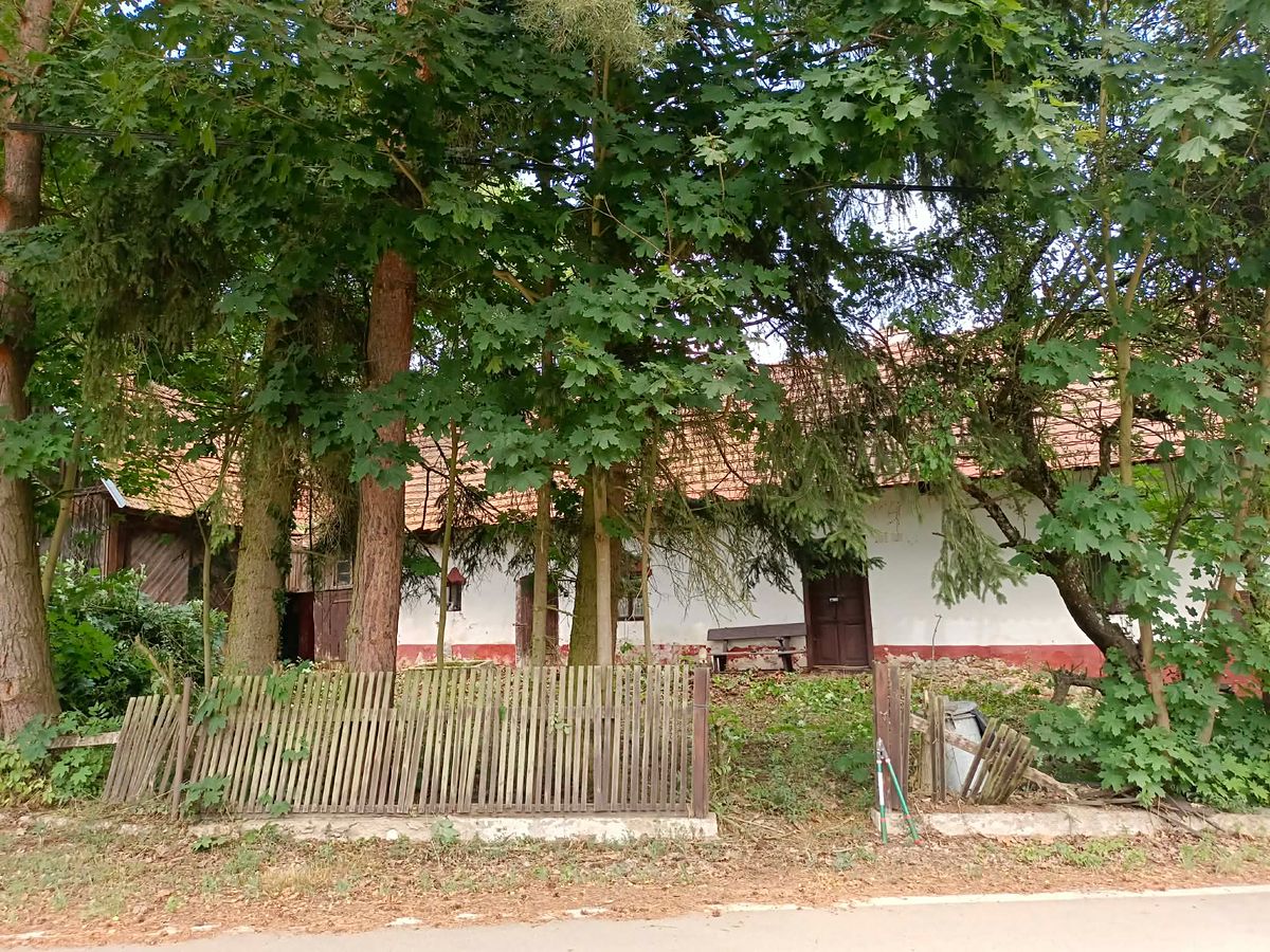Prodej rodinného domu 145 m², pozemek 612 m² – fotografie 3