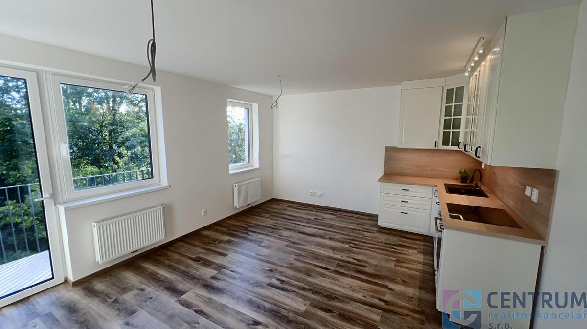Pronájem bytu 1+kk 38 m²