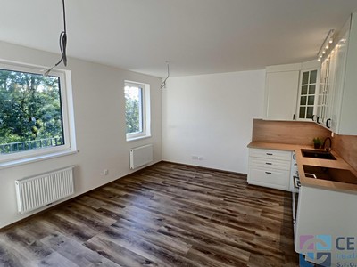 Pronájem bytu 1+kk 38 m²