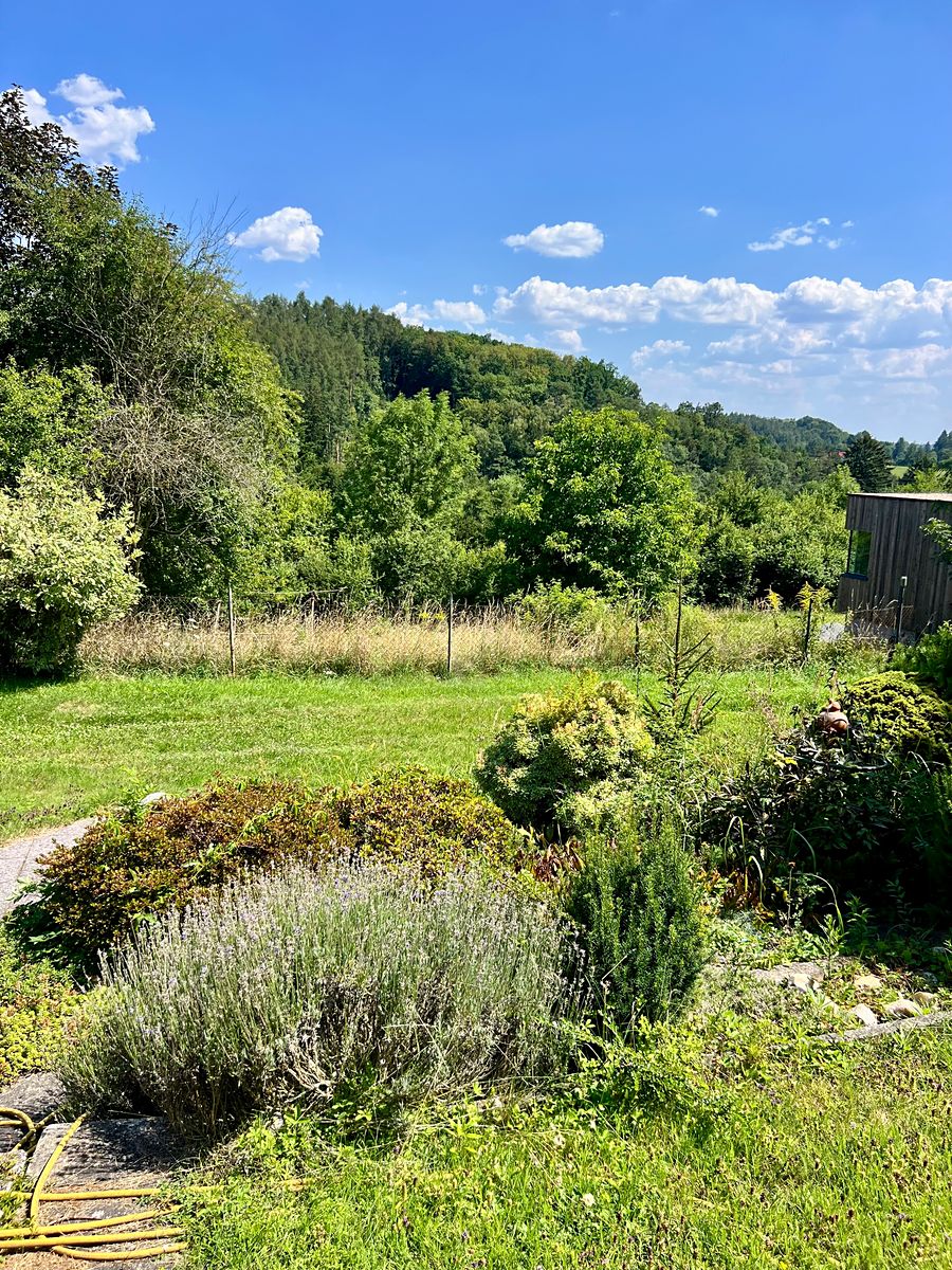 Prodej chaty 18 m², pozemek 695 m² – fotografie 5