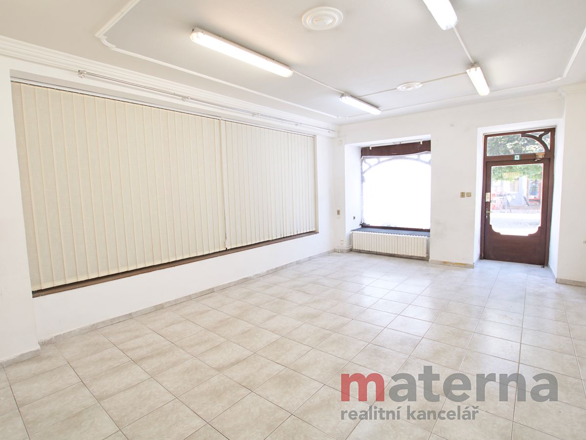 Pronájem obchodního prostoru 114 m²
