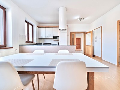 Pronájem bytu 4+kk 105 m²