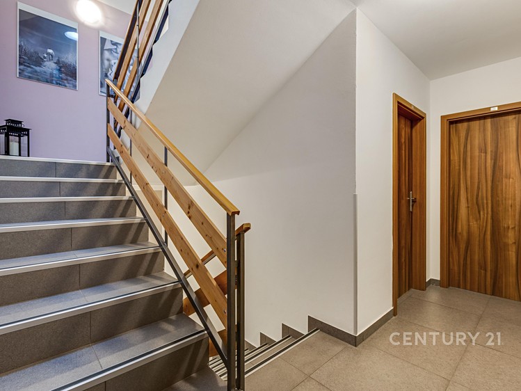Prodej domu, 375 m² (11 z 22)