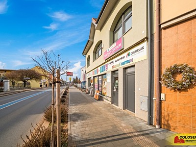Prodej obchodního prostoru 350 m²