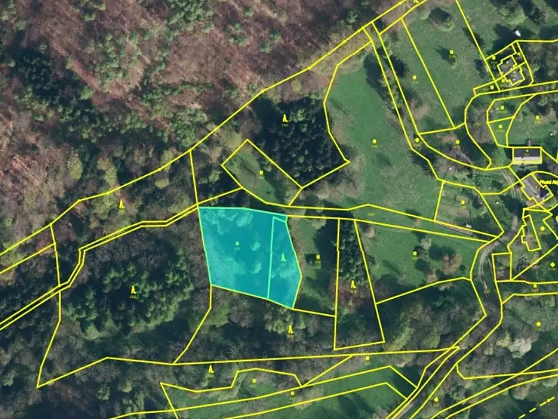 Prodej louky 3205 m², Branná – náhled fotky 3