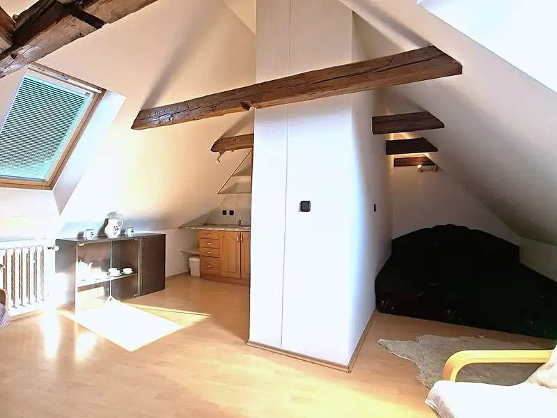 Pronájem bytu 1+kk 48 m², Benešov – náhled fotky 2