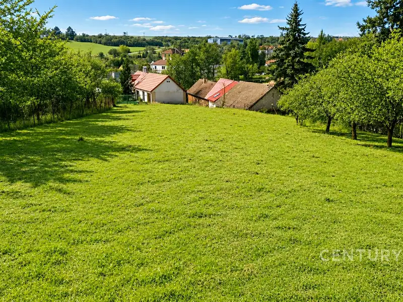 Prodej stavebního pozemku 3207 m², Všesulov – náhled fotky 2