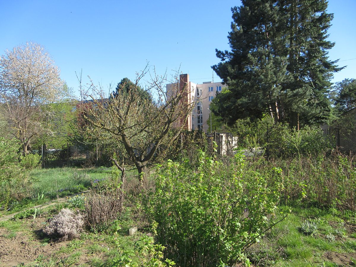 Prodej zahrady 1392 m²