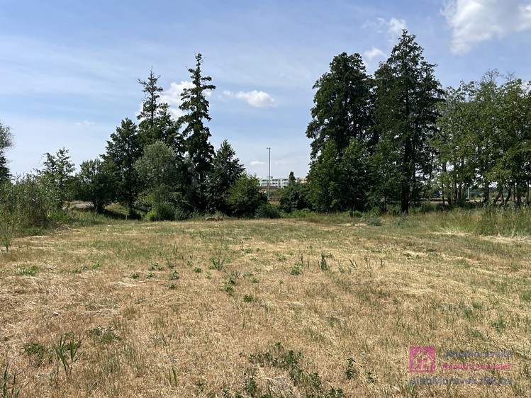 Ділянка на продаж, 4 463 м² (11 з 21)