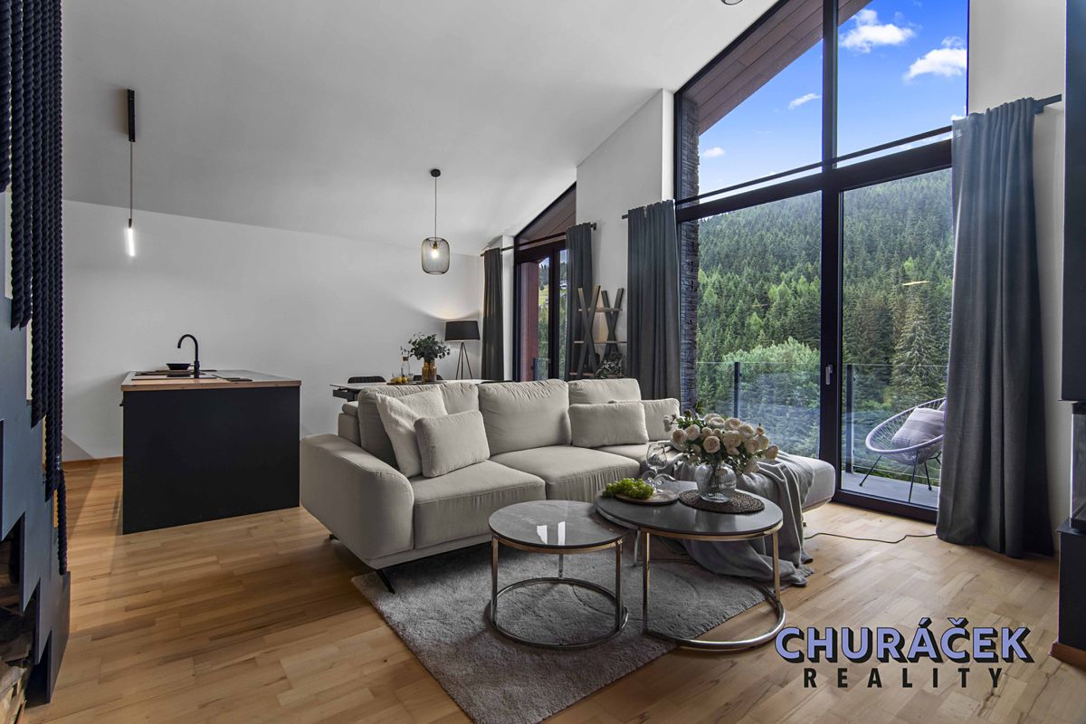 Prodej vícegeneračního domu 303 m², pozemek 101 m² – fotografie 2