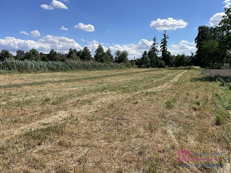 Ділянка на продаж, 4 463 м² (16 з 21)