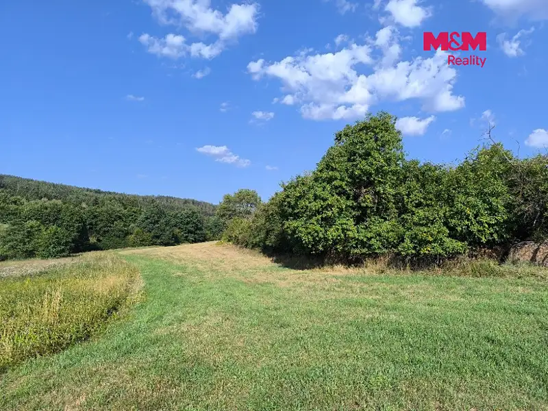 Prodej louky 33748 m², Hoslovice – náhled fotky 2