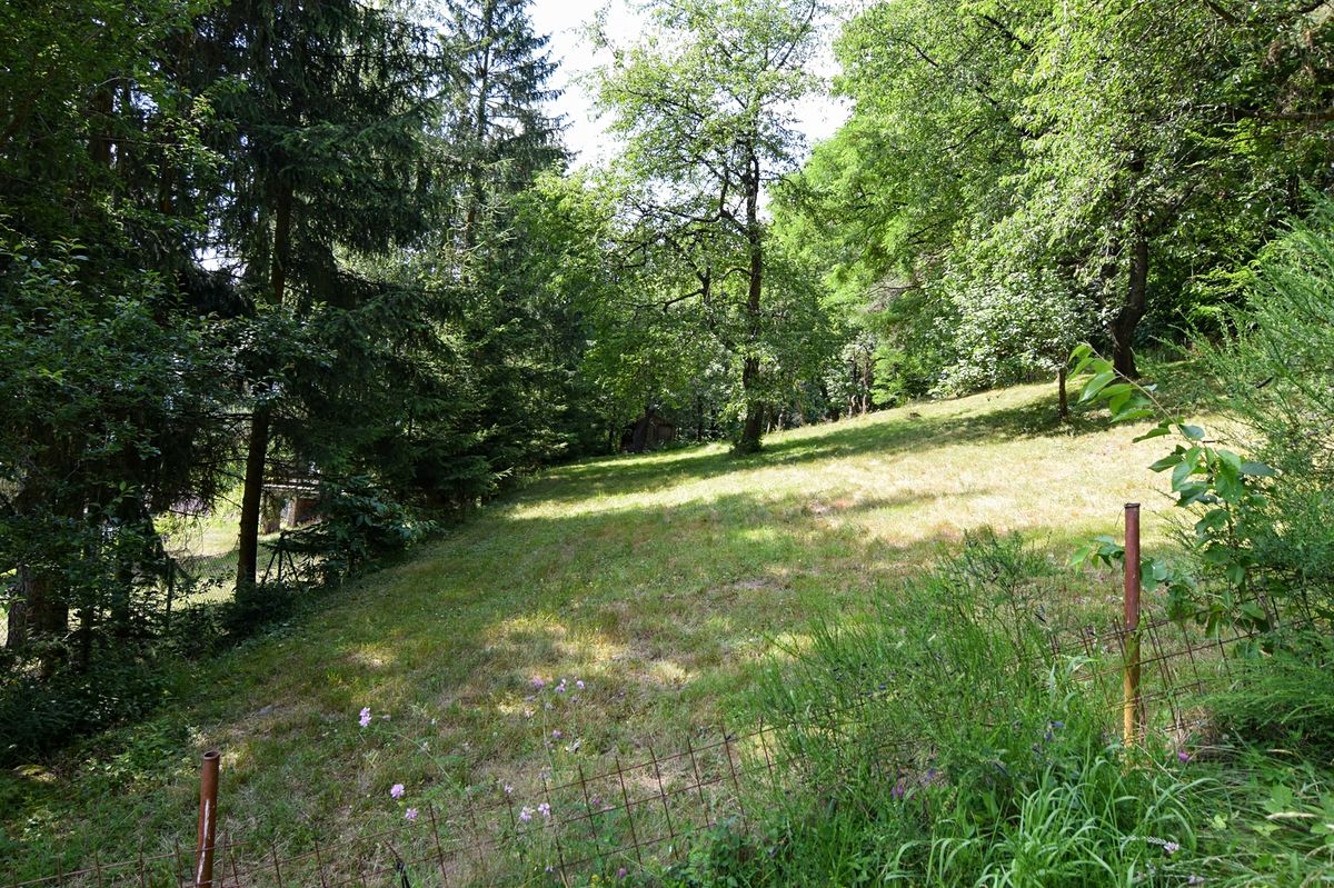 Pronájem zahrady 1015 m² – fotografie 5