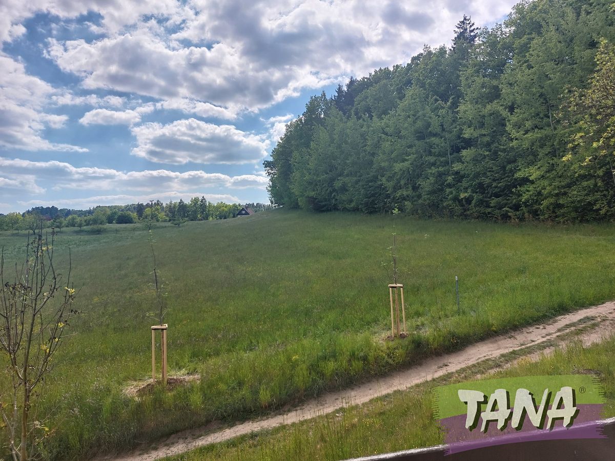 Prodej rodinného domu 120 m², pozemek 1262 m² – fotografie 5