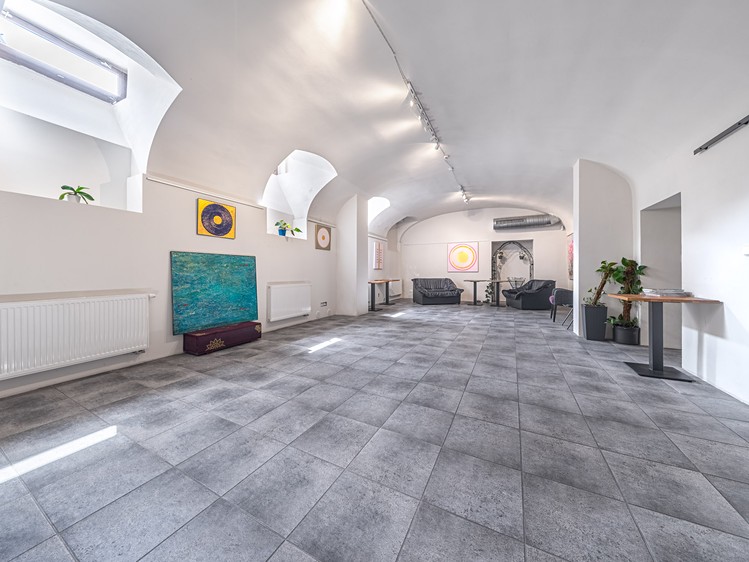 Gewerbefläche zur Miete, 260 m² (5 von 13)