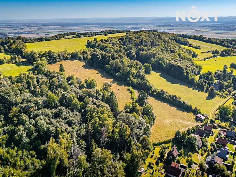 Prodej komerčního pozemku 5609 m², Paseka – náhled fotky 2
