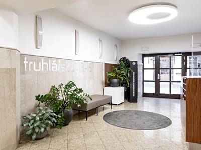 Gewerbefläche zur Miete, 30 m² (3 von 12)