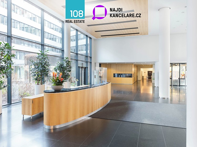 Pronájem komerčního prostoru, 650 m² (5 z 7)