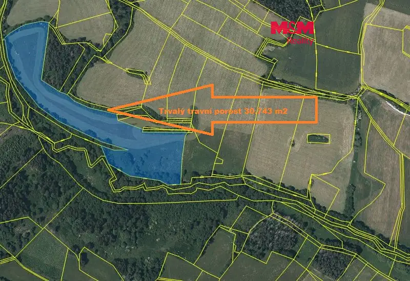 Prodej louky 33748 m², Hoslovice – náhled fotky 1