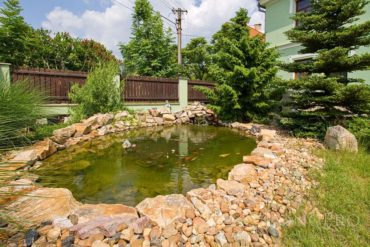 Prodej ubytovacího zařízení 995 m² – fotografie 4