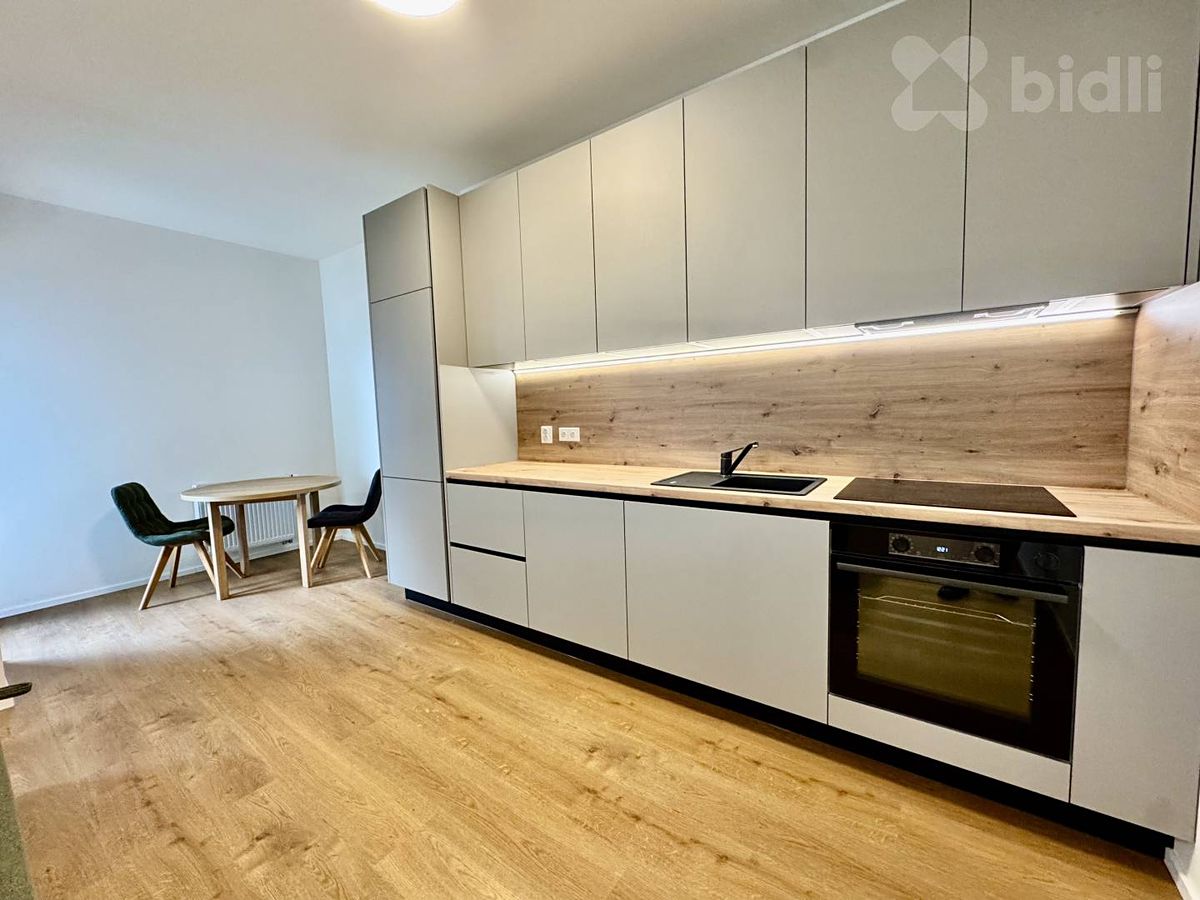 Pronájem bytu 1+kk 43 m²