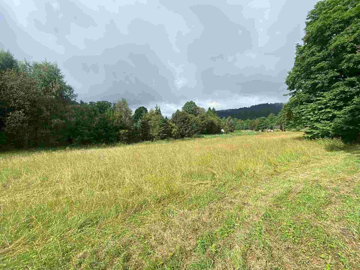 Prodej stavebního pozemku 1500 m² – fotografie 3