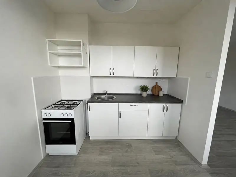 Pronájem bytu 1+1 42 m², Litvínov – náhled fotky 2