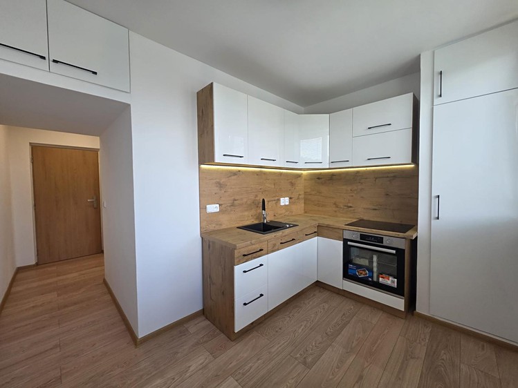 Wohnung 1+1 zur Miete, 40 m² (1 von 13)