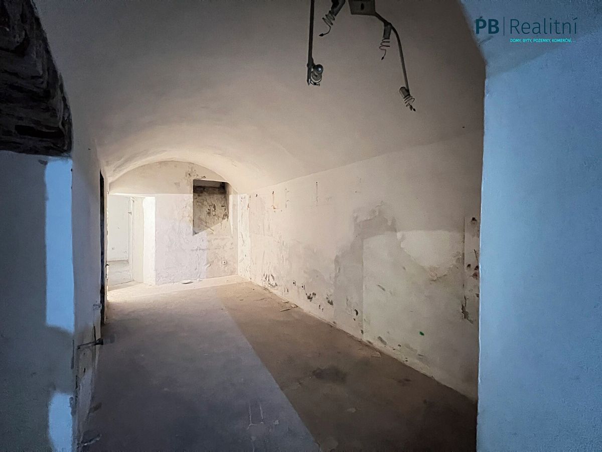 Prodej komerční nemovitosti 235 m² – fotografie 3