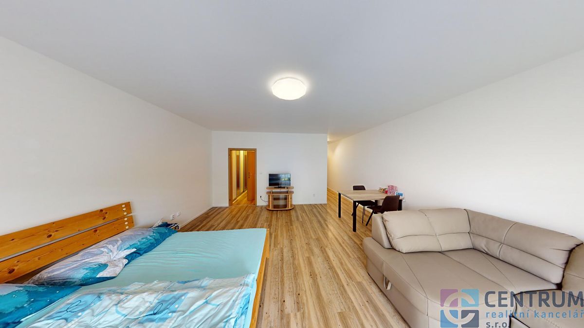 Pronájem bytu 1+kk 47 m² – fotografie 5