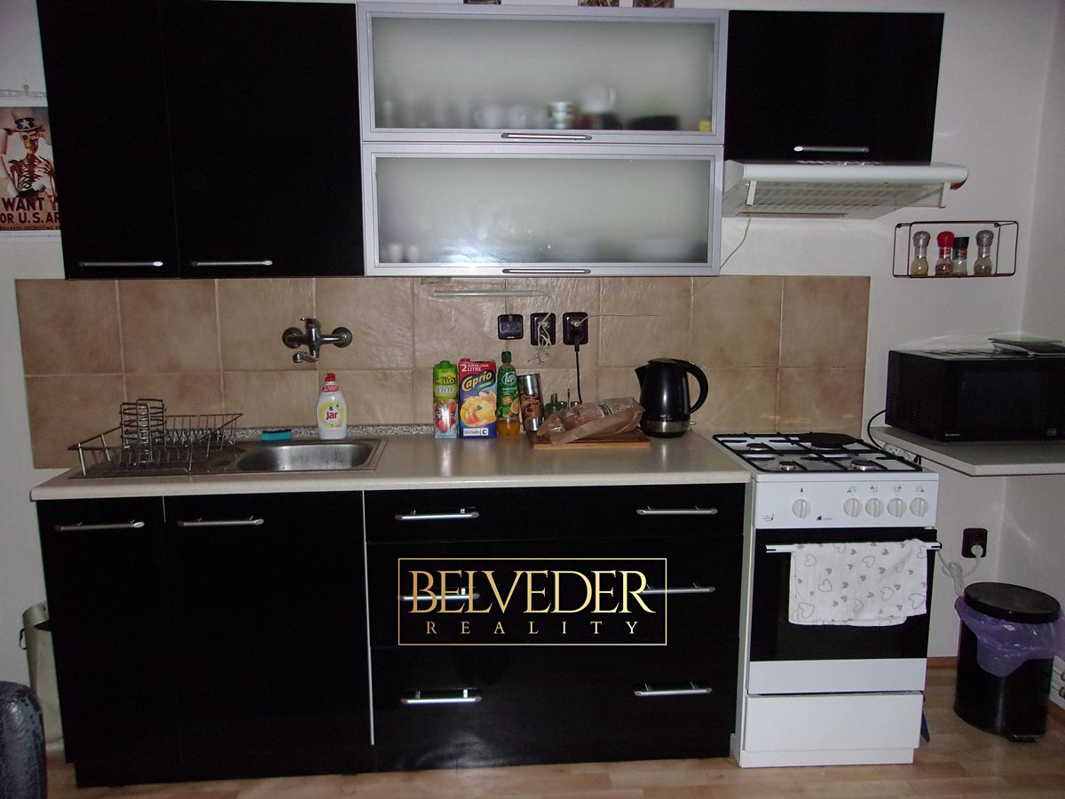 Pronájem bytu 1+1 66 m²