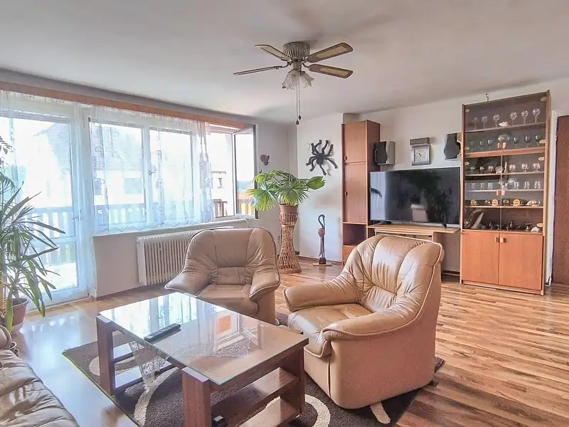 Prodej vícegeneračního domu 220 m², pozemek 782 m², Homole – náhled fotky 3