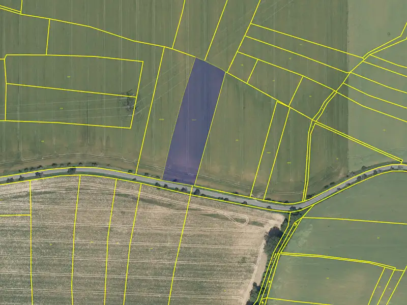 Prodej pole 8574 m², Přišimasy – náhled fotky 1