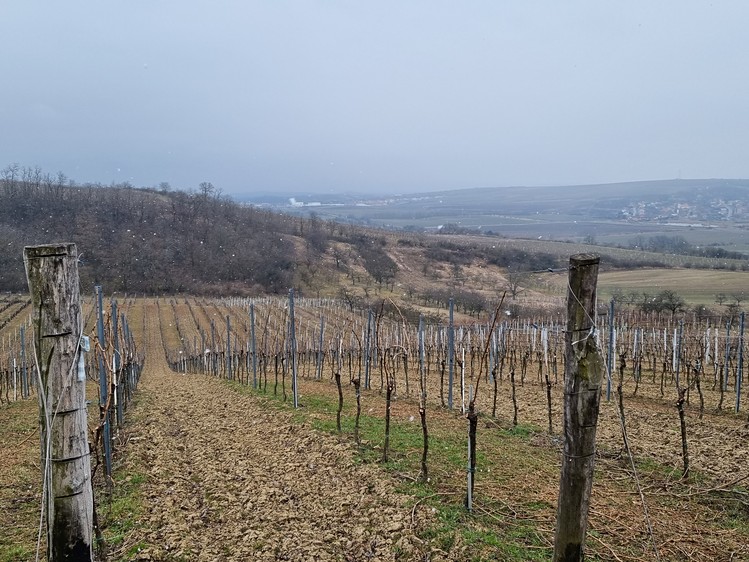 Prodej pozemku, 90 000 m² (4 z 8)