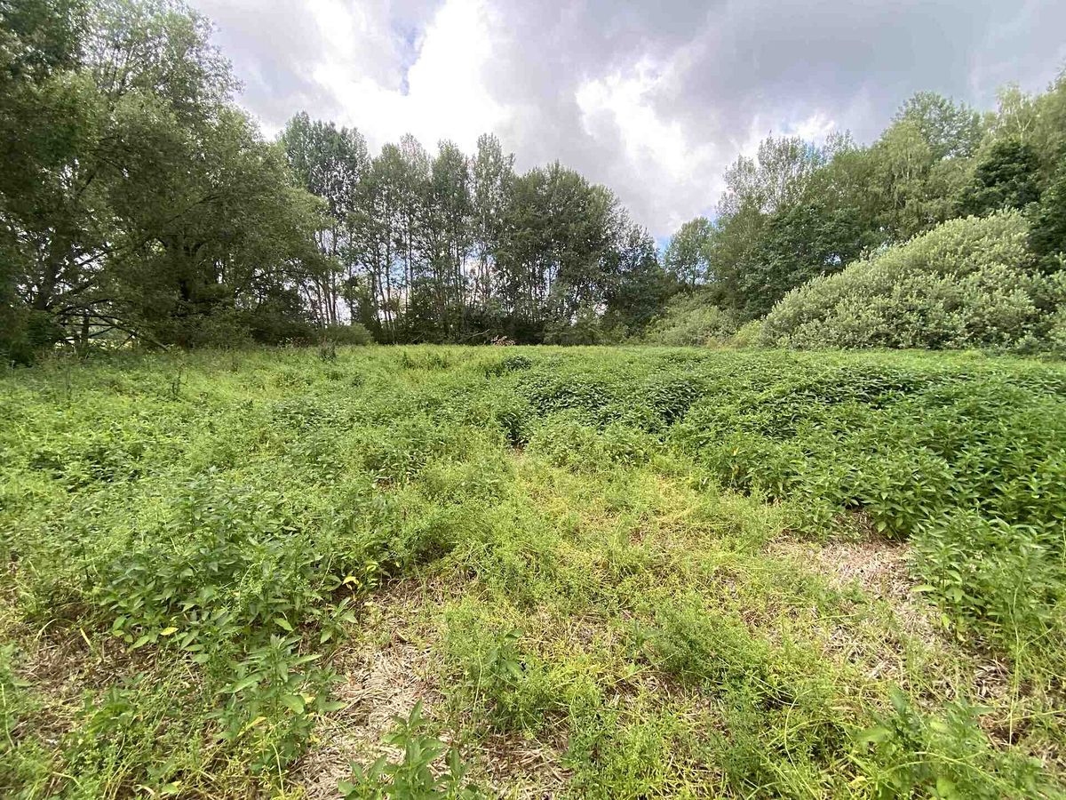 Prodej rybníku (vodní plochy) 6751 m² – fotografie 3
