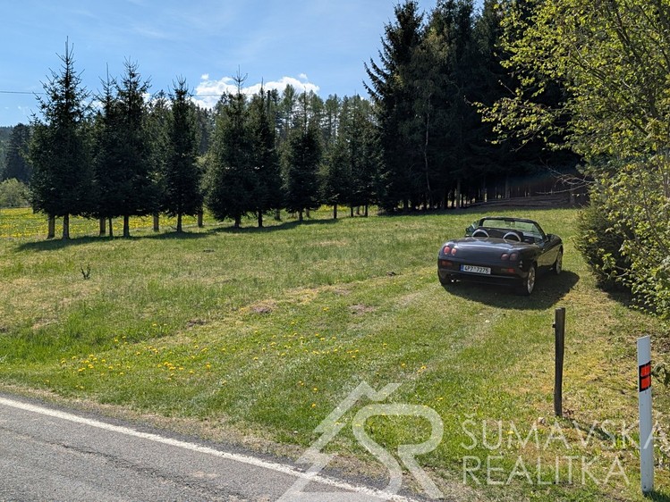 Prodej pozemku, 8 878 m² (6 z 18)
