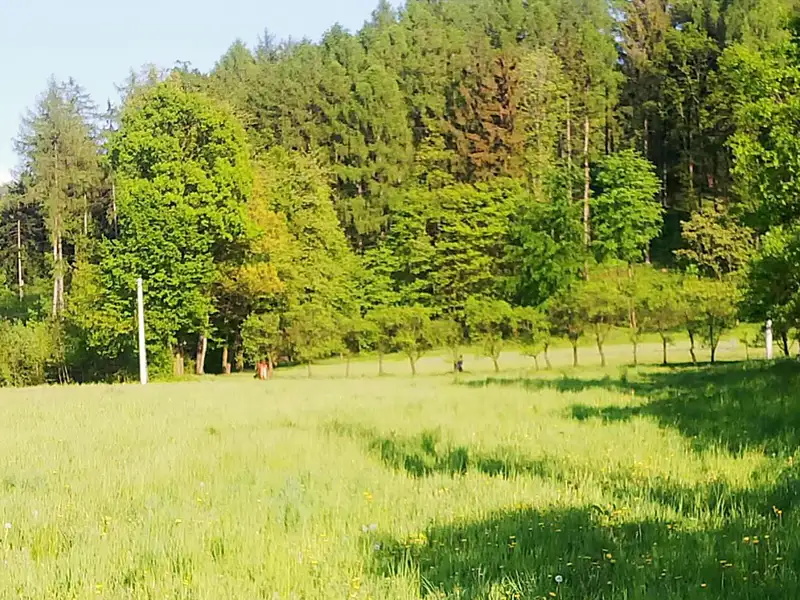 Prodej stavebního pozemku 1010 m², Hukvaldy – náhled fotky 1