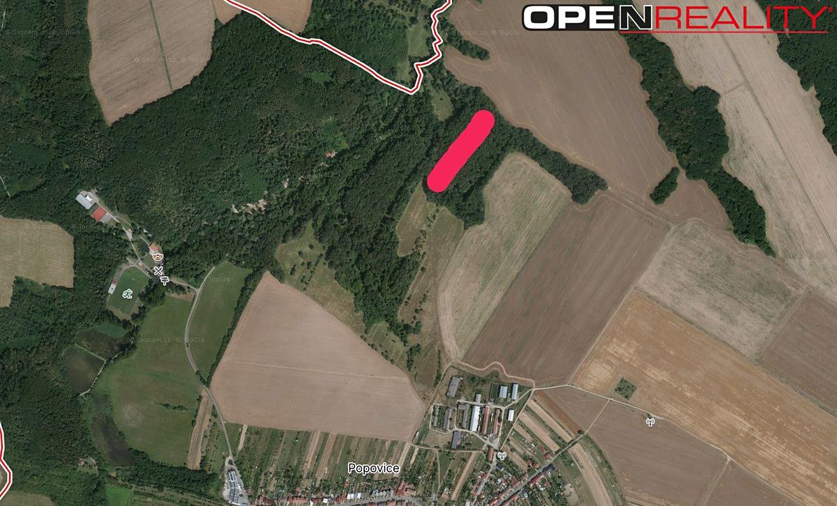 Prodej lesa 1876 m²