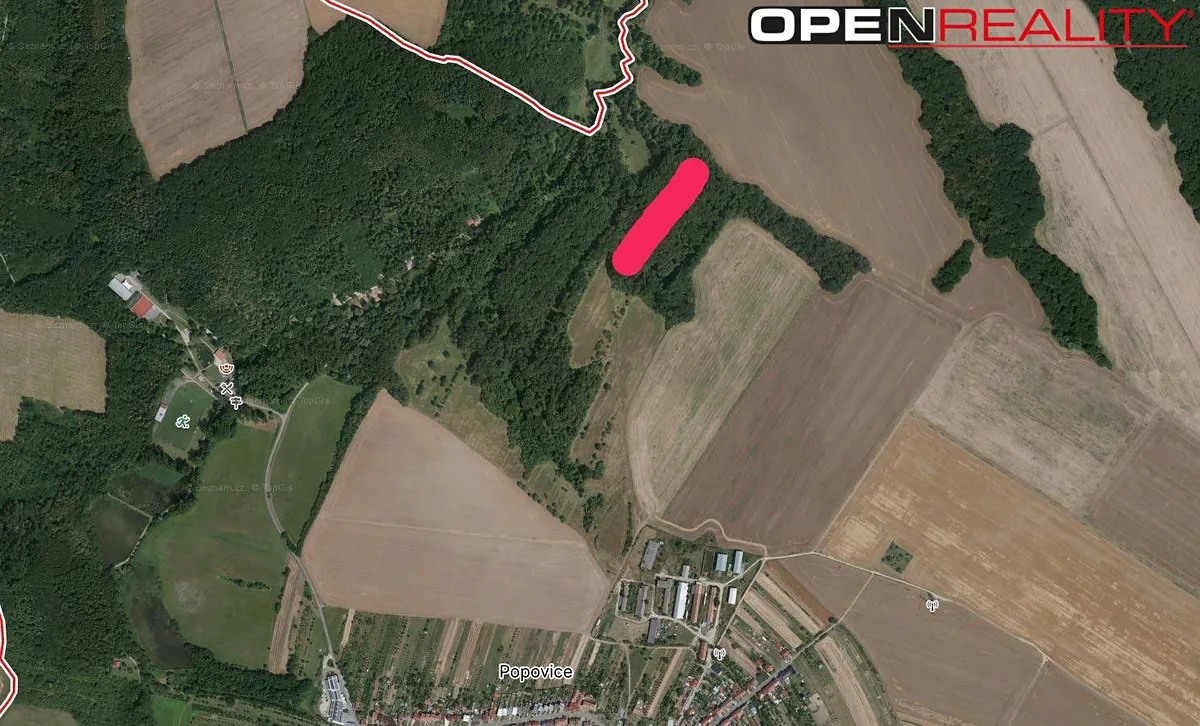 Prodej lesa 1876 m²