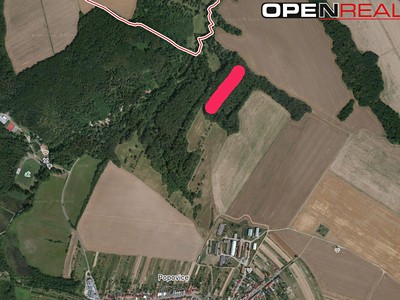 Prodej  lesa 1 876 m²