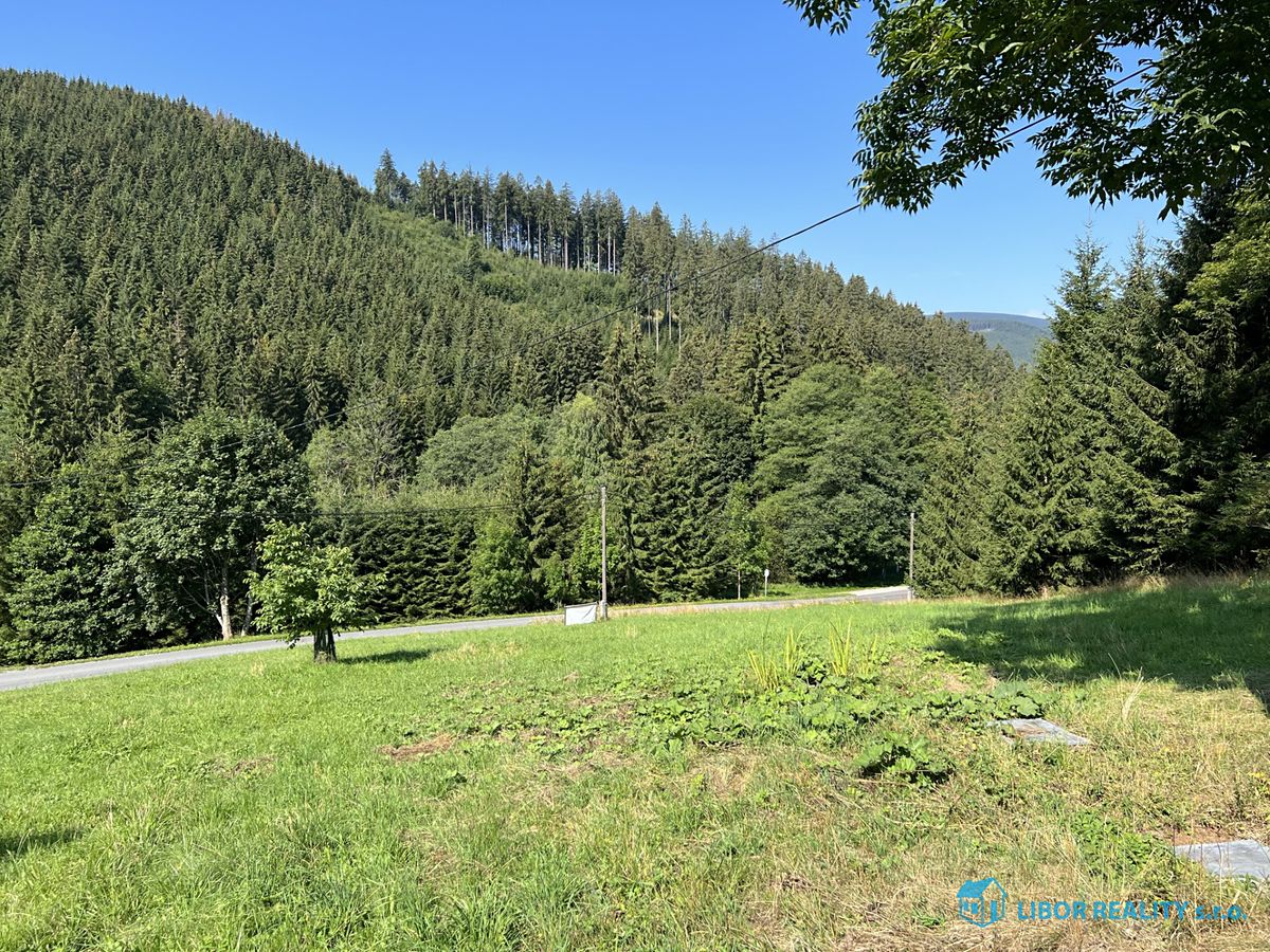 Prodej lesa 21810 m²