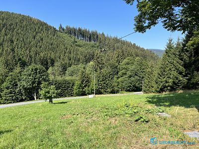 Prodej lesa 21810 m²