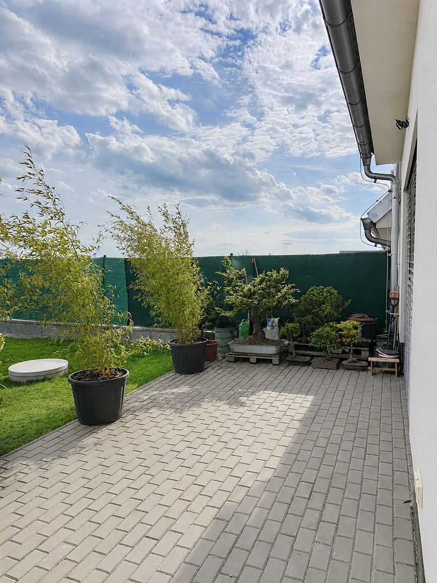 Prodej rodinného domu 150 m², pozemek 241 m² – fotografie 5