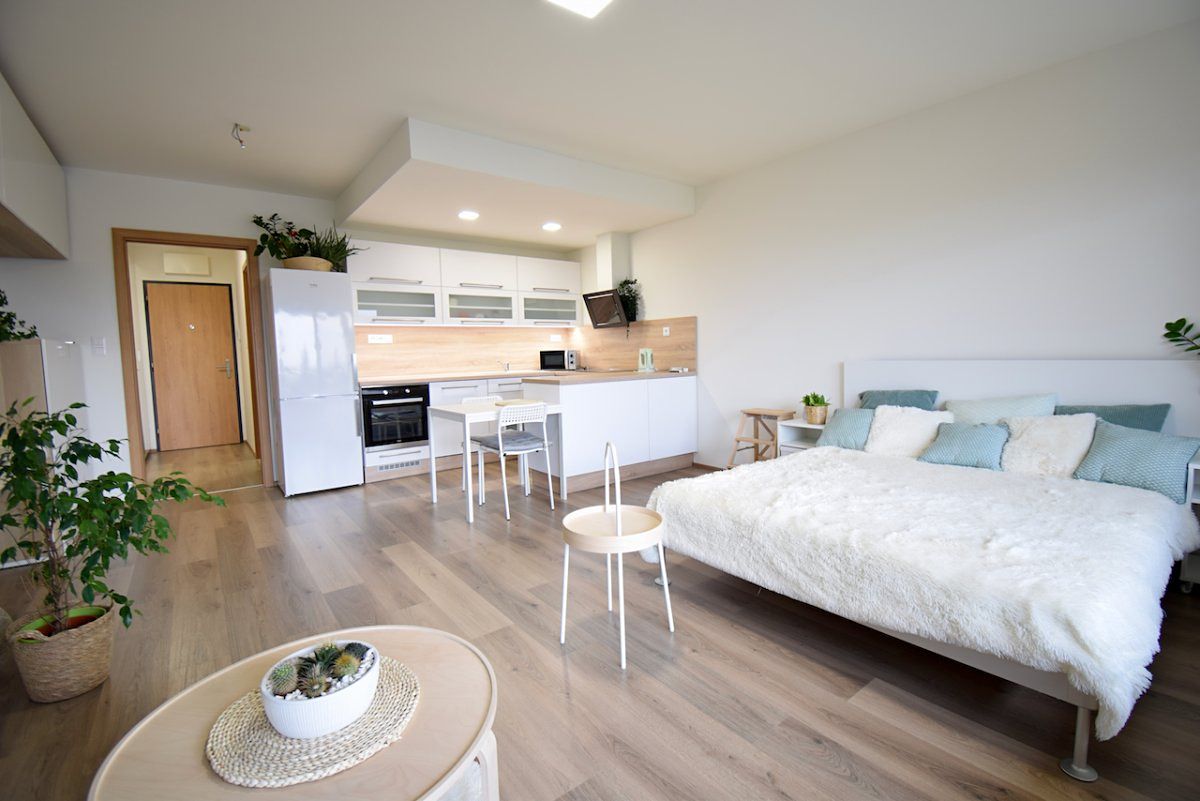 Pronájem bytu 1+kk 41 m² – fotografie 2