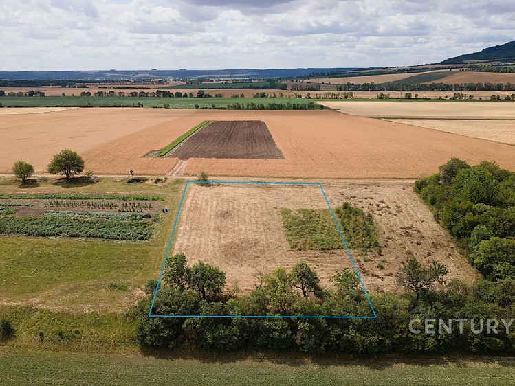 Grundstück zum Kauf, 1.493 m² (2 von 8)
